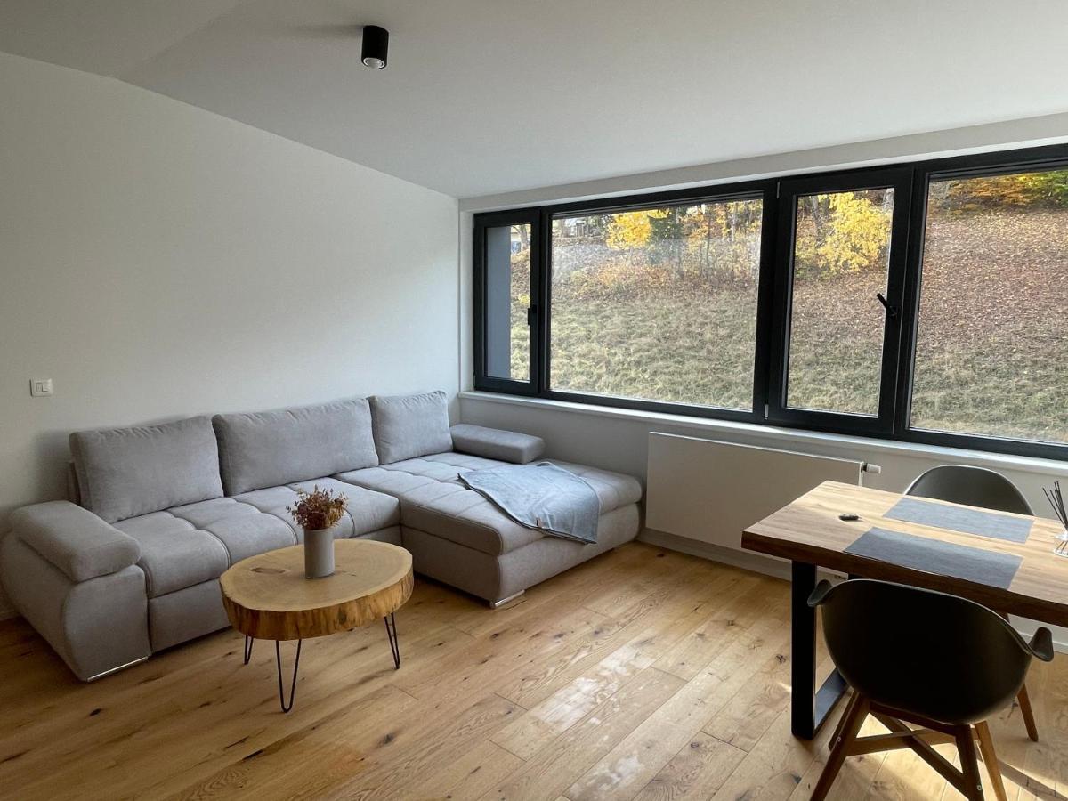Ski&Bike Horsky Apartman 502 Janské Lázně Exteriér fotografie